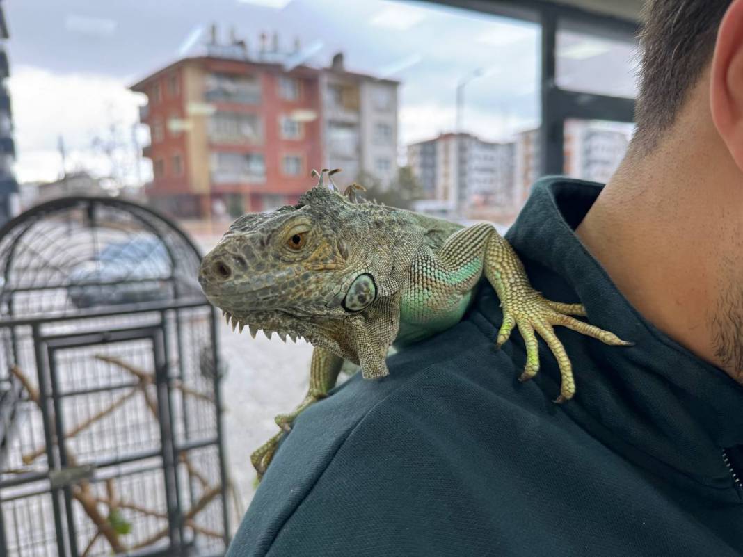 Konya’nın sıra dışı kuaförü! ‘Escobar’ ile müşterilerini tıraş ediyor 5